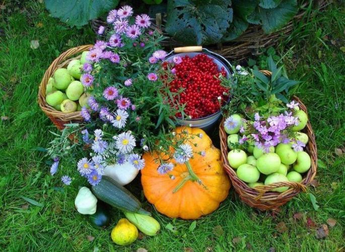 Agroturystyka Gawrys Drewniany Domek Villa Sasino Bagian luar foto