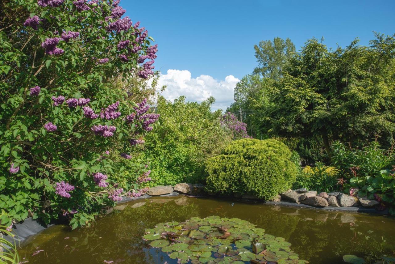 Agroturystyka Gawrys Drewniany Domek Villa Sasino Bagian luar foto